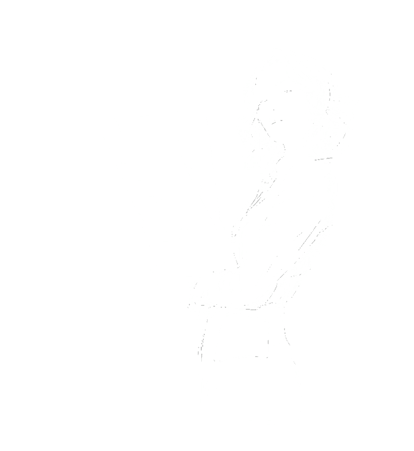 Bildux organisations graphic