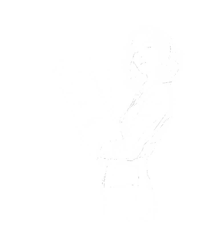 Bildux organisations graphic